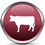 abattoir flooring for meat processing factories