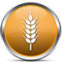 Bakery Flooring for Dry Good Processors