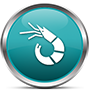Seafood Flooring for Seafood Processing areas